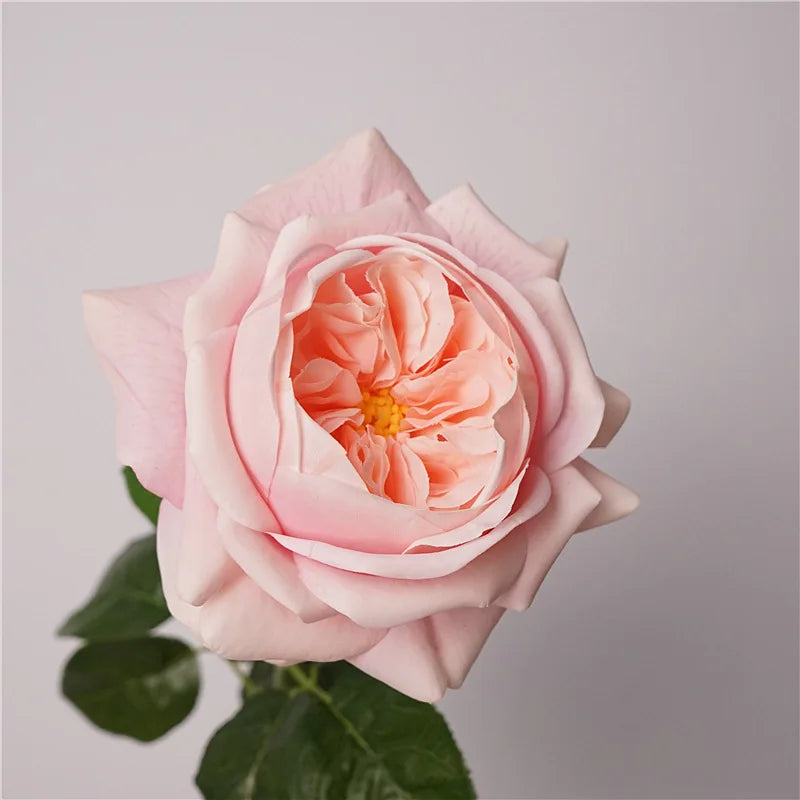 5Pc Moisturizing Austin Rose Real Touch Artificial Flowers Luxury Home Decoration Party Event Wedding Bouquet Fake Flowers Roses