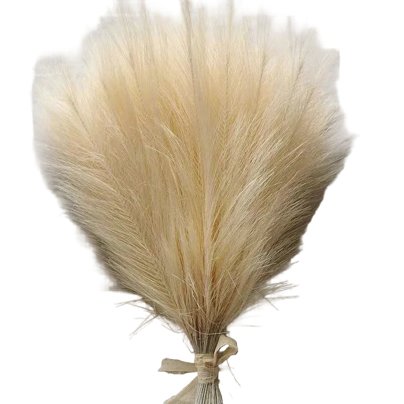 Tejesa Artificial Pampas Grass Decor Flowers Fake Plant Reed for DIY Floral Table Arrange Flower Wedding Home Christmas Decoration
