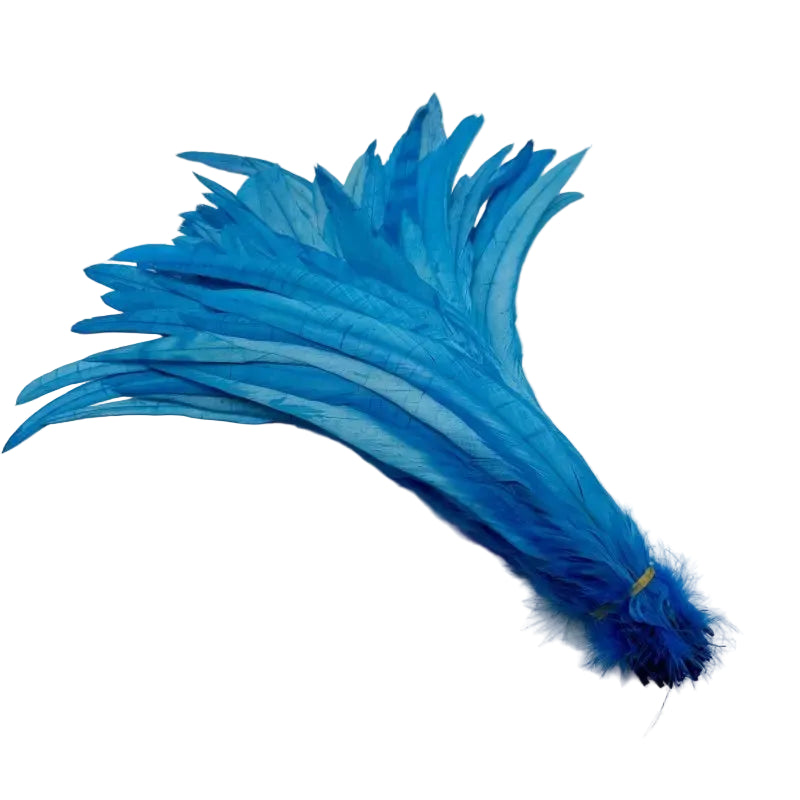 Tejesa  100pcs 30-35CM Rooster Tail Feathers Sky Blue Natural  Plumes Beige DIY Cock Clothing Jewelry Accessories Party