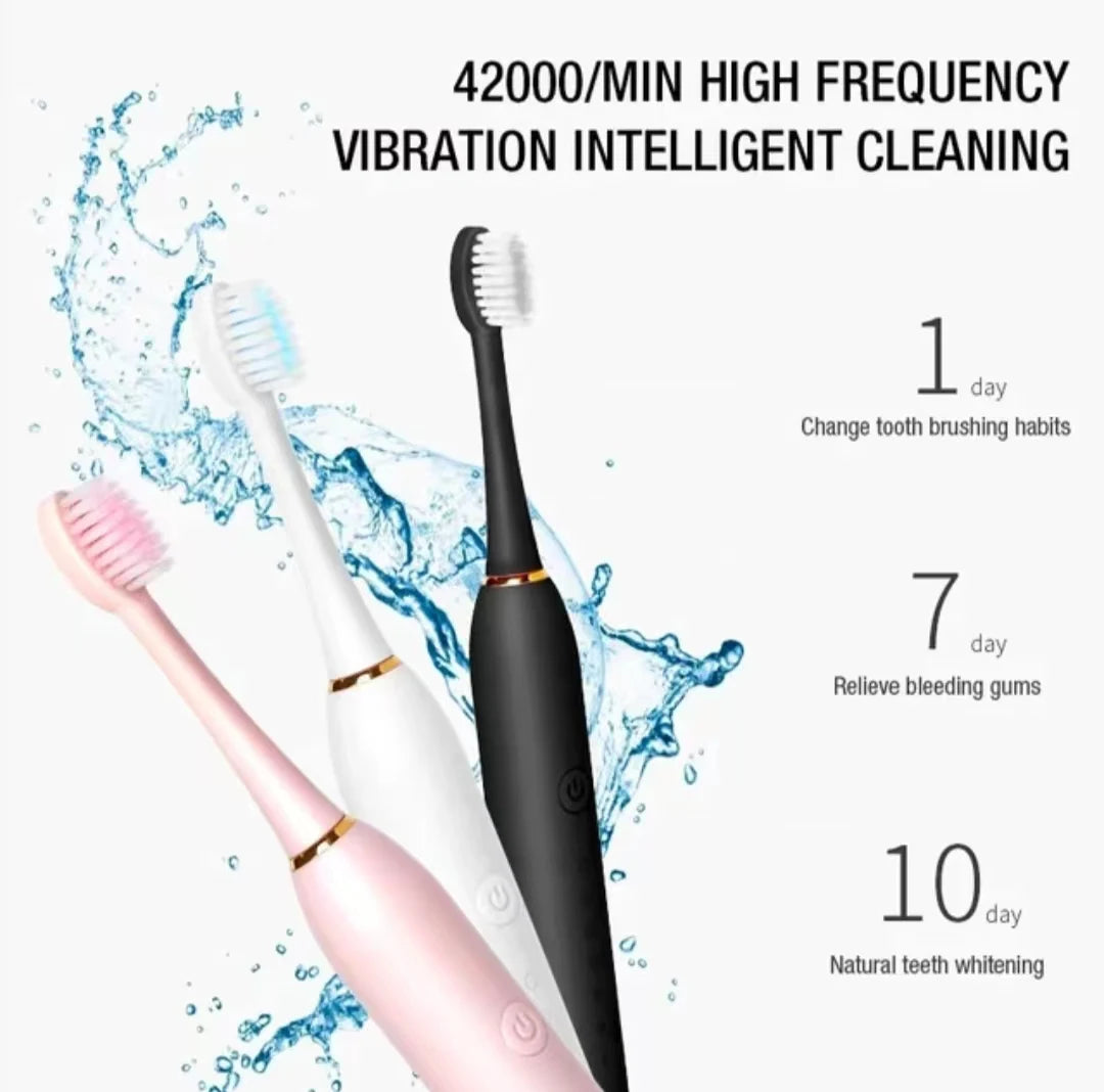 Hemasa  Electric Toothbrush for Adults  /Waterproof  Brush Head USB Rechargeable 6 cleaning  Modes
