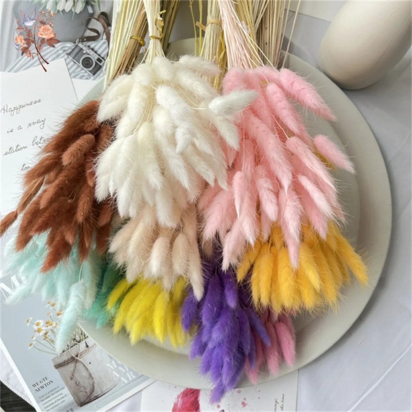 Hemasa 20/50Pcs Natural Rabbit Tail Grass Colorful Dried Flowers Bouquets Bunny Tails Lagurus Ovatus Photo Prop Home Wedding Decoration