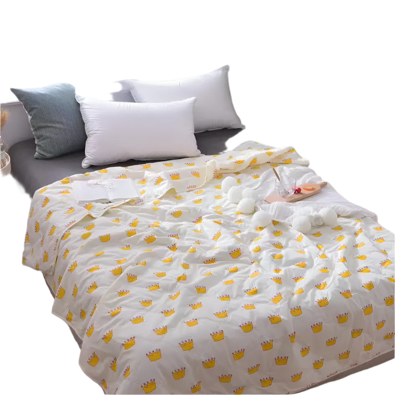 Hemasa  Silk  Thin Quilt Summer Blanket  Single/Queen/King