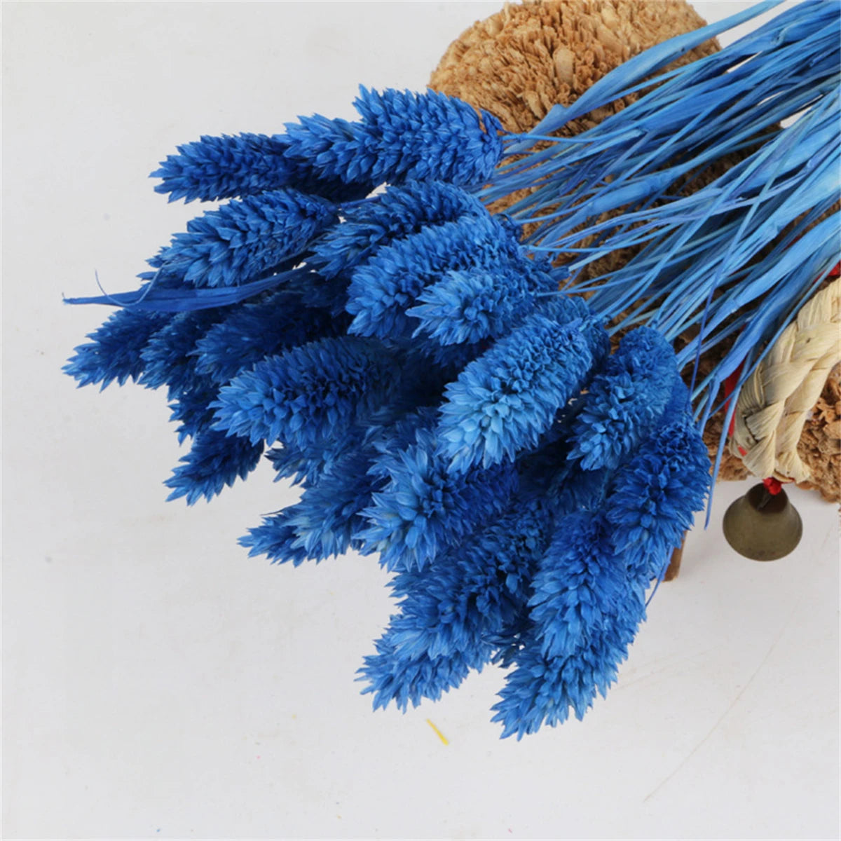 48825485853004|48825485885772