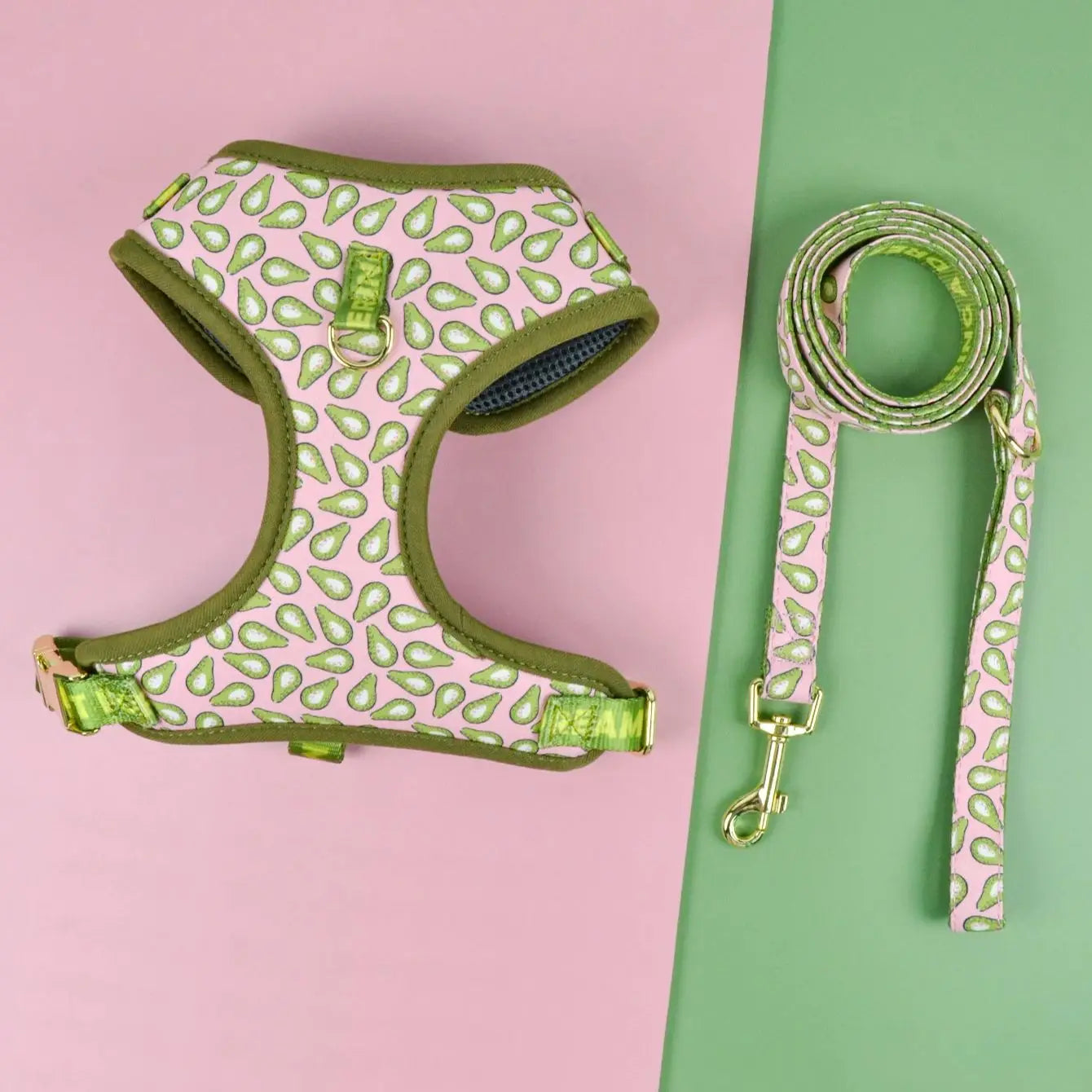 Valentine's Day and New Year's gift Cute Design Adjutable Luxury Designer Pet Harness &1 Pcs Color Matching Pet Dog Leashes