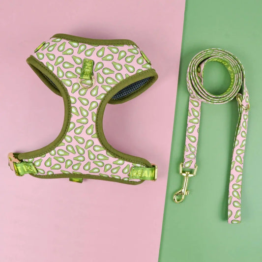 Valentine's Day and New Year's gift Cute Design Adjutable Luxury Designer Pet Harness &1 Pcs Color Matching Pet Dog Leashes