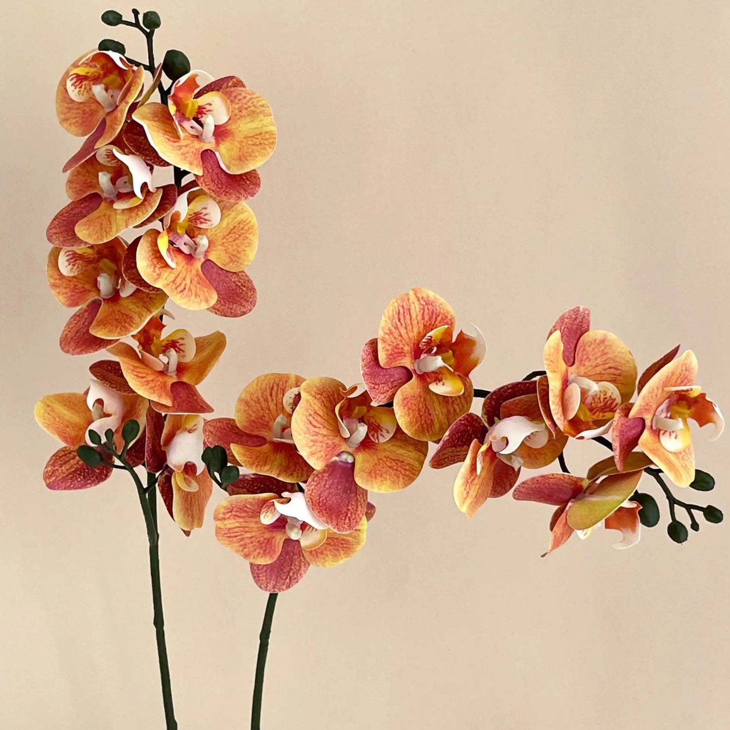 5Pc 3D Print Film Phalaenopsis Artificial Flowers Real Touch Orchids Home Decor Wedding Road Leads Flower Arrangement Bouquet
