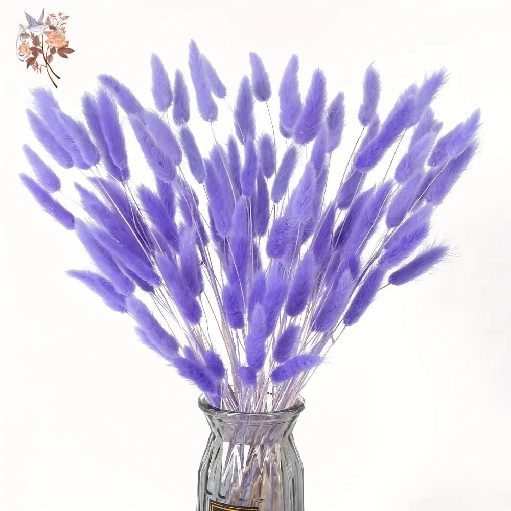 100Pcs Natural Purple Bunny Tails Dried Flowers Bouquet Rabbit Tail Grass Home Wedding Floral Arrangement DIY Craft Decoration