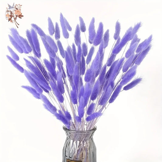100Pcs Natural Purple Bunny Tails Dried Flowers Bouquet Rabbit Tail Grass Home Wedding Floral Arrangement DIY Craft Decoration