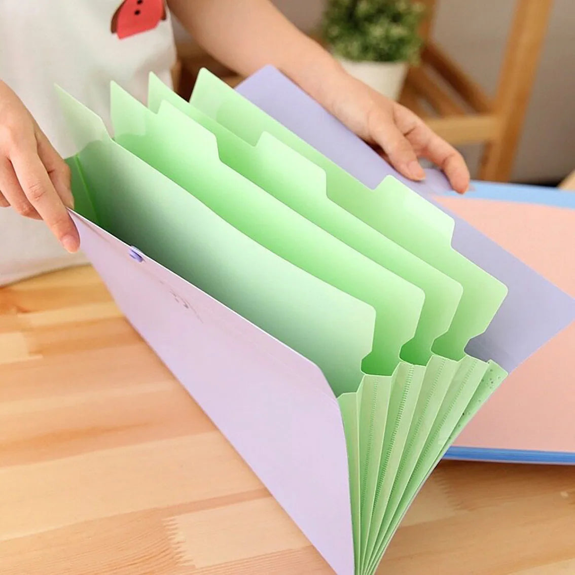 Hemasa 5page Classic File Folders - A4 Document Storage Bags with Plastic Material and Test Roll Holder