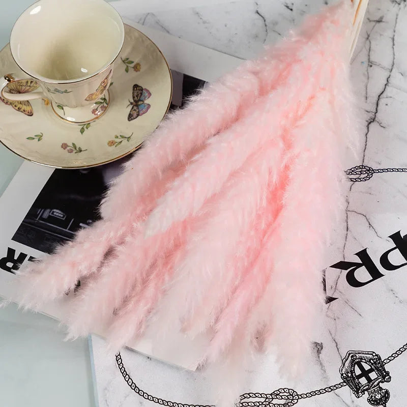 48825465897292|48825465930060|48825466028364