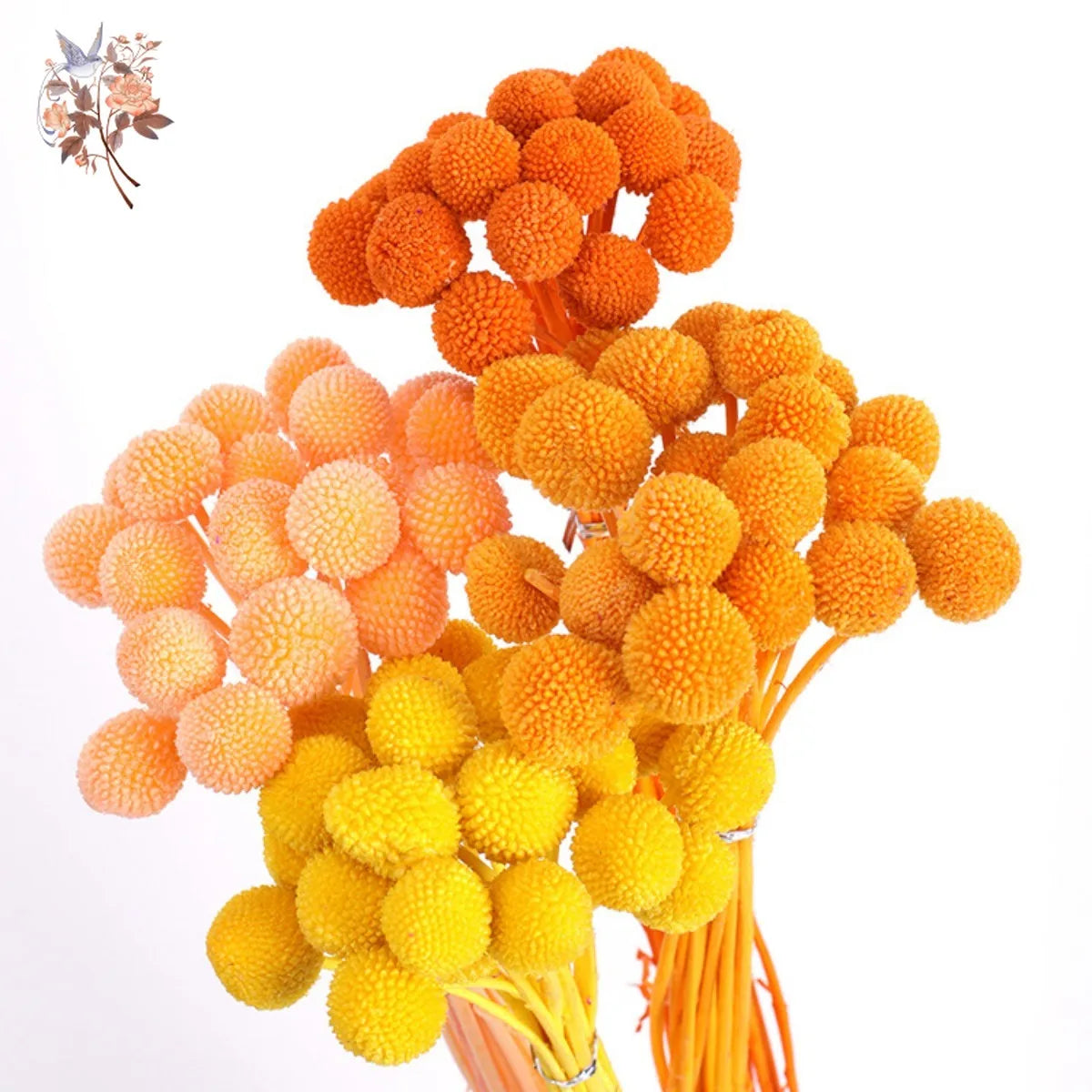 Dried Billy Button Balls Flowers Wedding Floral Arrangement Dry Craspedia Globosa Boho Baby Shower Decoration Home Table Decor