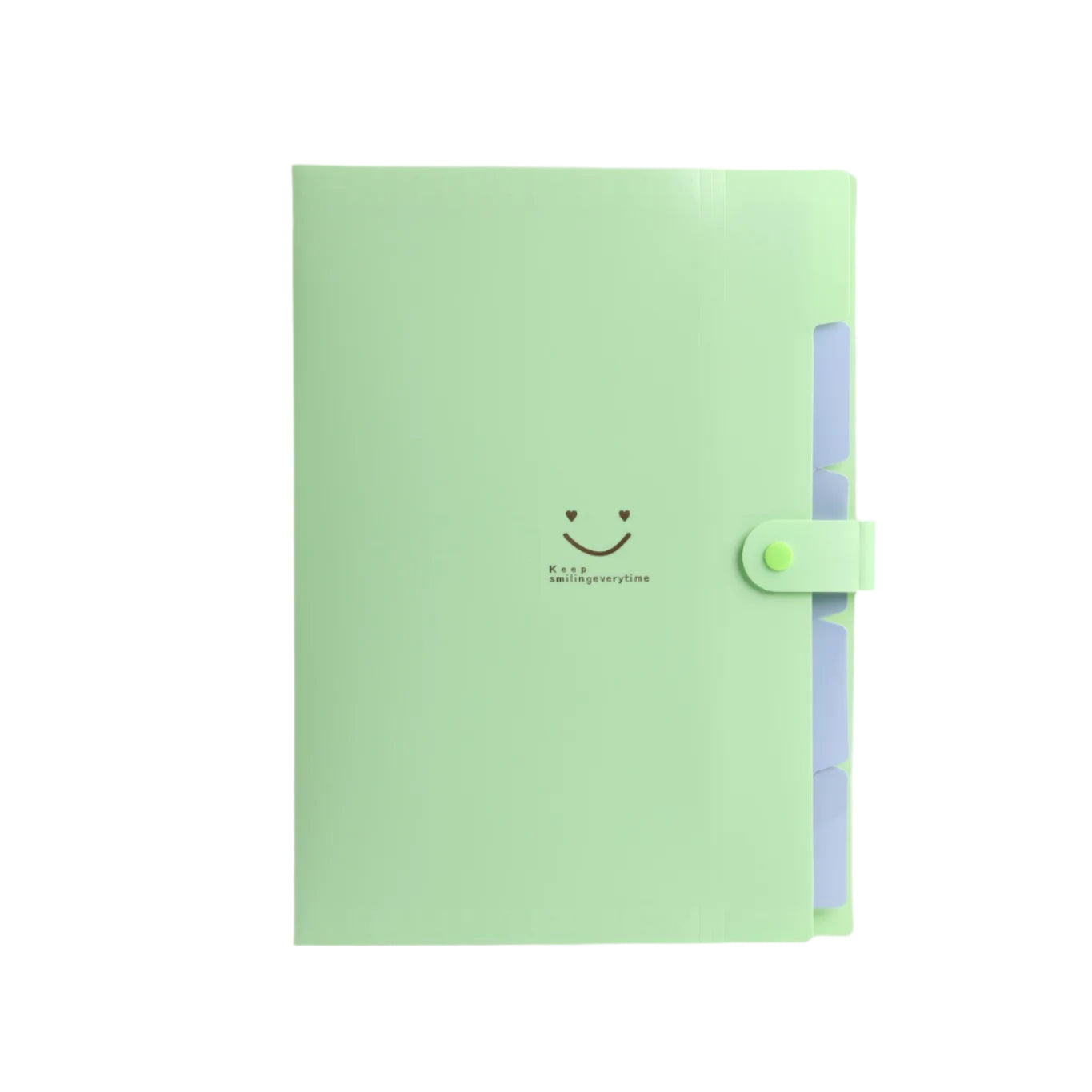 Hemasa 5page Classic File Folders - A4 Document Storage Bags with Plastic Material and Test Roll Holder