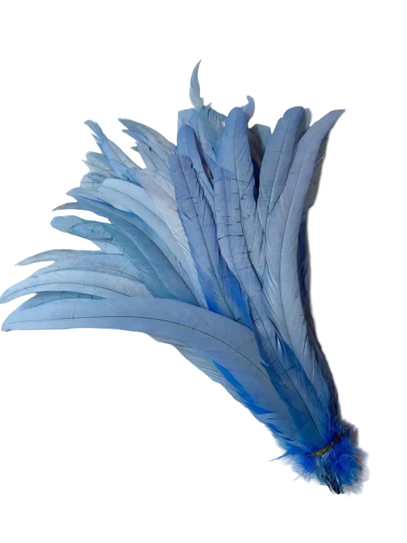 Tejesa  100pcs 30-35CM Rooster Tail Feathers Sky Blue Natural  Plumes Beige DIY Cock Clothing Jewelry Accessories Party