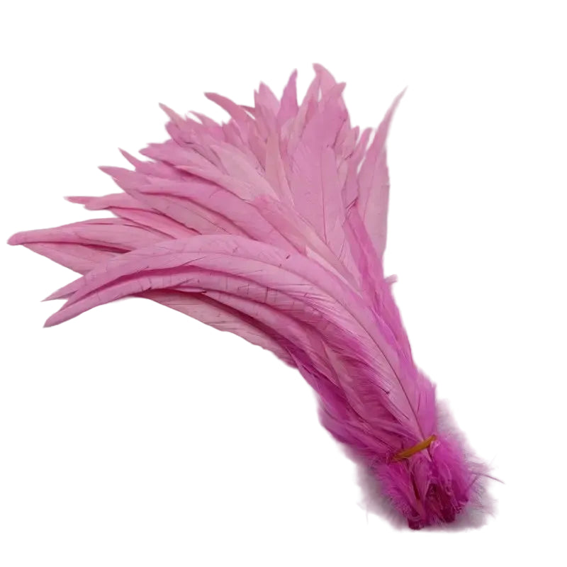 Tejesa  100pcs 30-35CM Rooster Tail Feathers Sky Blue Natural  Plumes Beige DIY Cock Clothing Jewelry Accessories Party