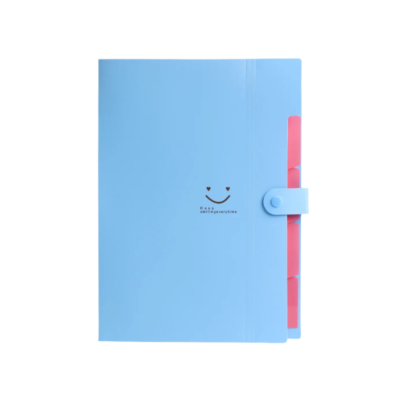 Hemasa 5page Classic File Folders - A4 Document Storage Bags with Plastic Material and Test Roll Holder