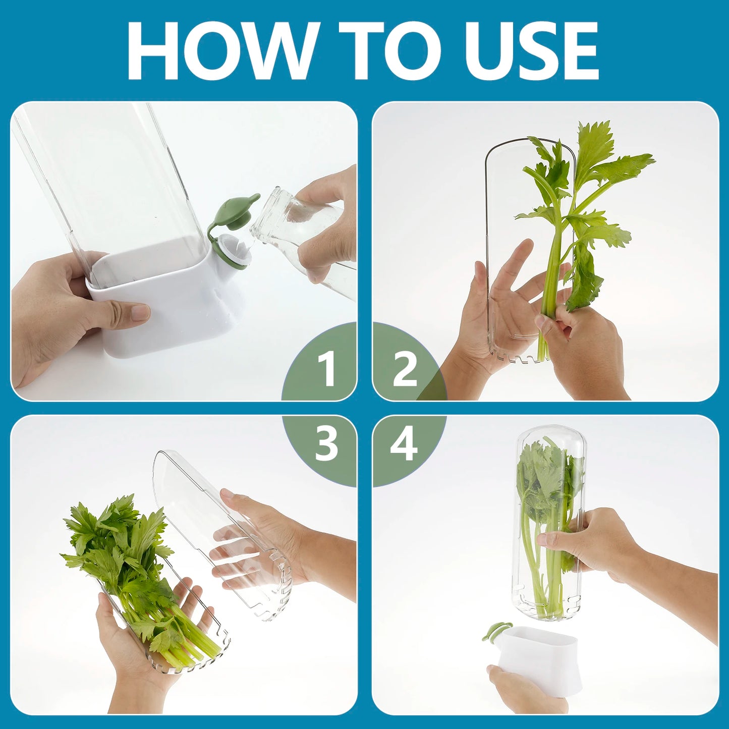 Tejesa 4/1PC Herb Freshkeeping Box Fresh Vegetable Storage Container Cup Home Decor Kitchen Gadget Device for Fridge Herb Keeper Bottle