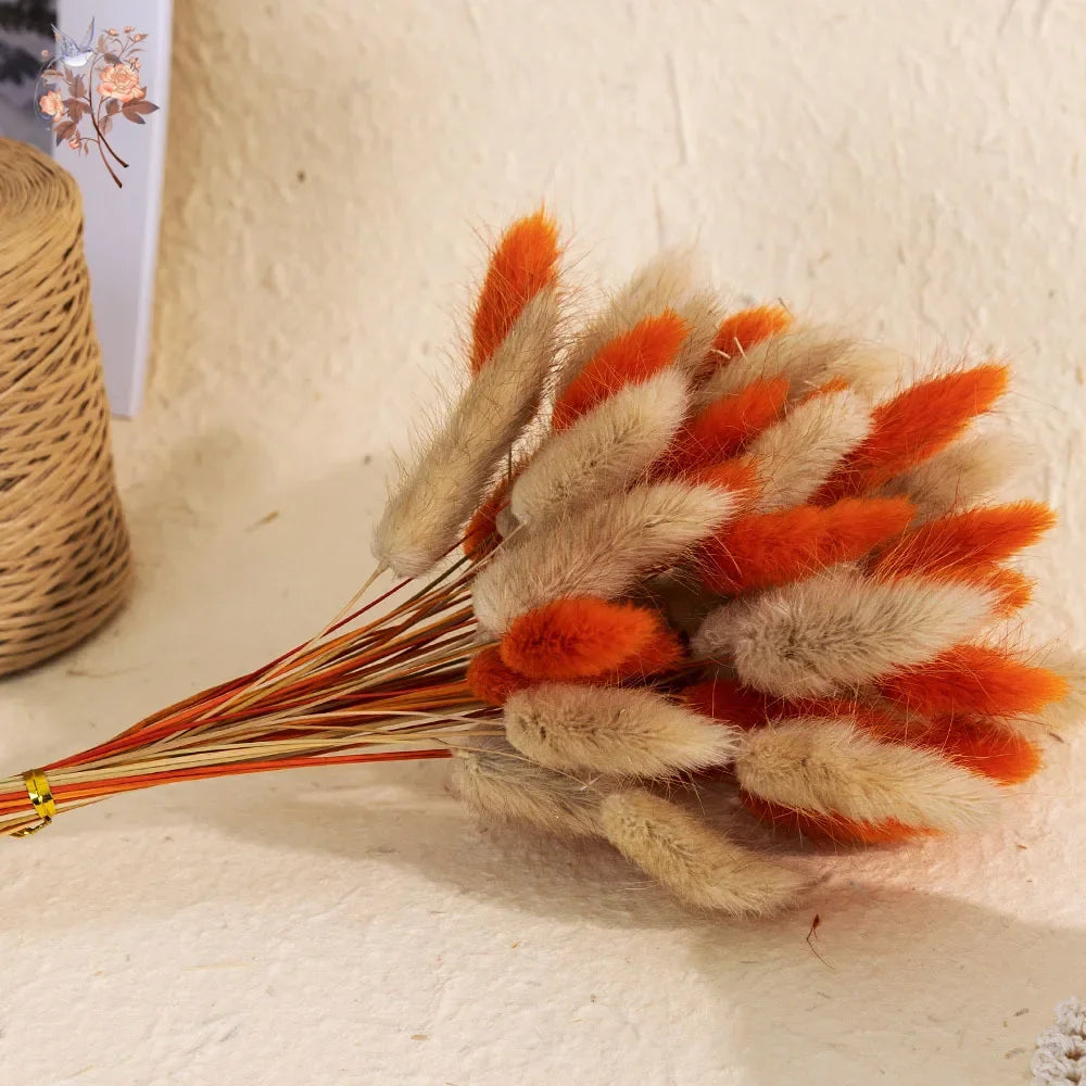 70pcs Mix Rabbit Tail Grass Natural Dried Flowers Bouquet Pampas Lagurus Autumn Floral Wedding Decoration Home Photo Props Decor