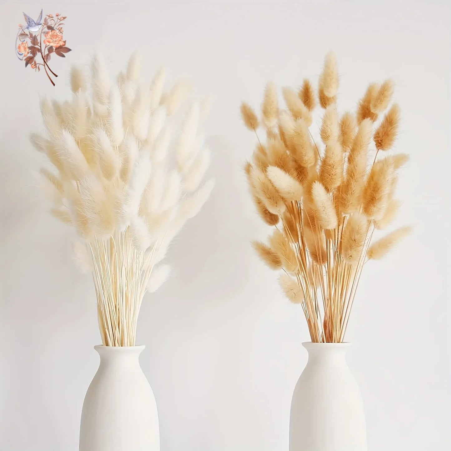 50Pcs Rabbit Tail Dried Flower Bunch Natural Bunny Pampas Grass Real Bouquet for Photo Prop Flores Home Wedding Party Decoration