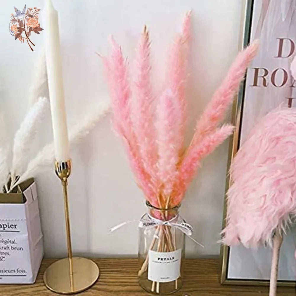 Natural Pink Pampas Grass Dried Flowers Fluffy Bulrush Home Boho Vase Decor Phragmites Reeds Wedding Christmas New Year DIY Gift