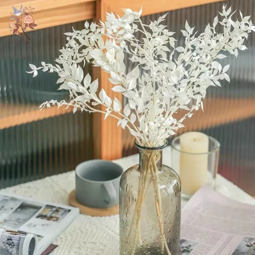 20-60g Dried Flowers Ruscus Eucalyptus Leaves Bouquet Home Decor Natural Preserved Plant Branch Stems Garden Wedding Decoration