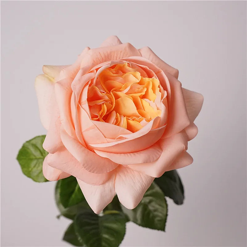 5Pc Moisturizing Austin Rose Real Touch Artificial Flowers Luxury Home Decoration Party Event Wedding Bouquet Fake Flowers Roses