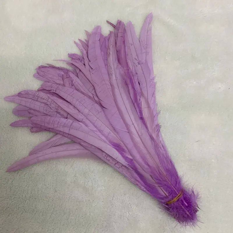 Tejesa  100pcs 30-35CM Rooster Tail Feathers Sky Blue Natural  Plumes Beige DIY Cock Clothing Jewelry Accessories Party