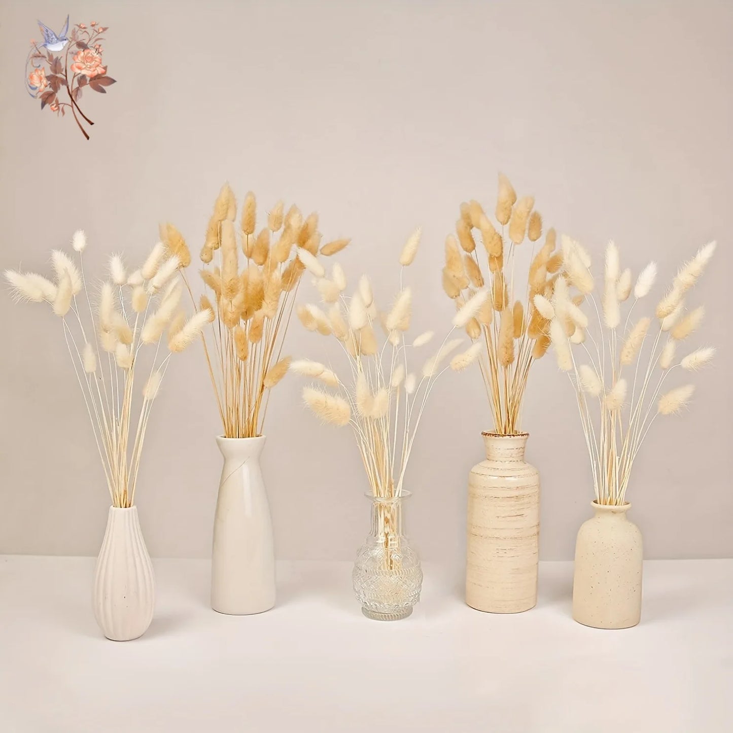 50Pcs Rabbit Tail Dried Flower Bunch Natural Bunny Pampas Grass Real Bouquet for Photo Prop Flores Home Wedding Party Decoration