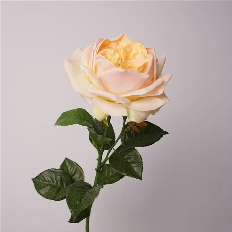 5Pc Moisturizing Austin Rose Real Touch Artificial Flowers Luxury Home Decoration Party Event Wedding Bouquet Fake Flowers Roses