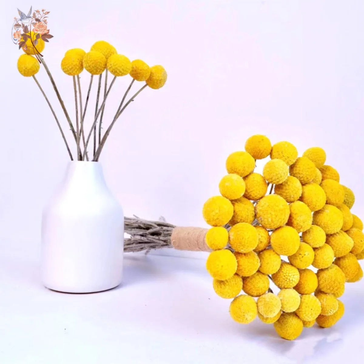 Natural Dried Yellow Golden Balls Craspedia Billy Ball Bouquet DIY Flowers Arrangement Wedding Party Decoration Home Table Decor