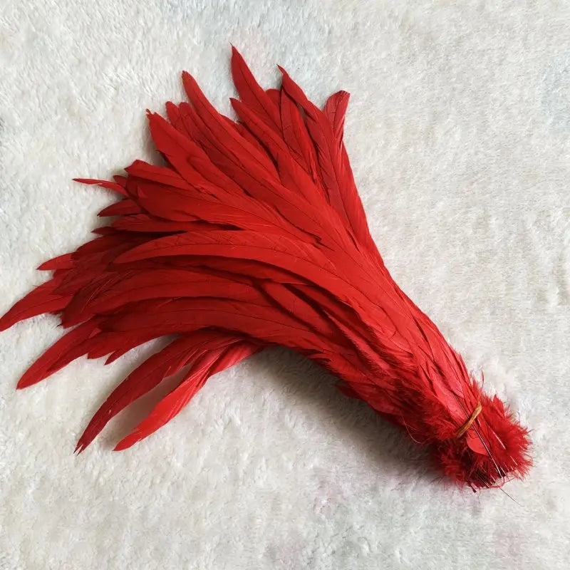 Tejesa  100pcs 30-35CM Rooster Tail Feathers Sky Blue Natural  Plumes Beige DIY Cock Clothing Jewelry Accessories Party