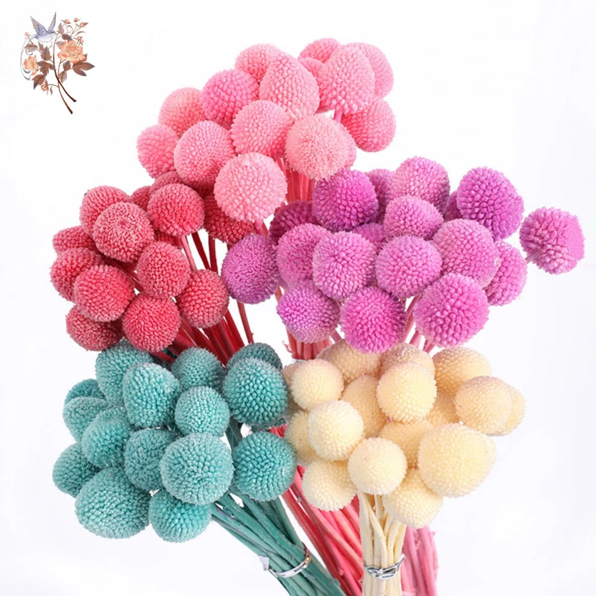Dried Billy Button Balls Flowers Wedding Floral Arrangement Dry Craspedia Globosa Boho Baby Shower Decoration Home Table Decor