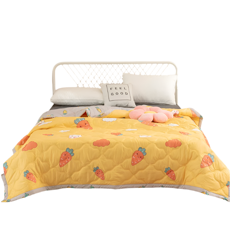 Hemasa  Silk  Thin Quilt Summer Blanket  Single/Queen/King
