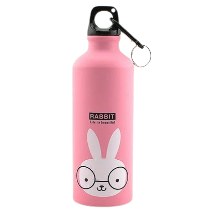 Hemasa Aluminium Cartoon Sports Mug / Stainless Steel Water Bottle