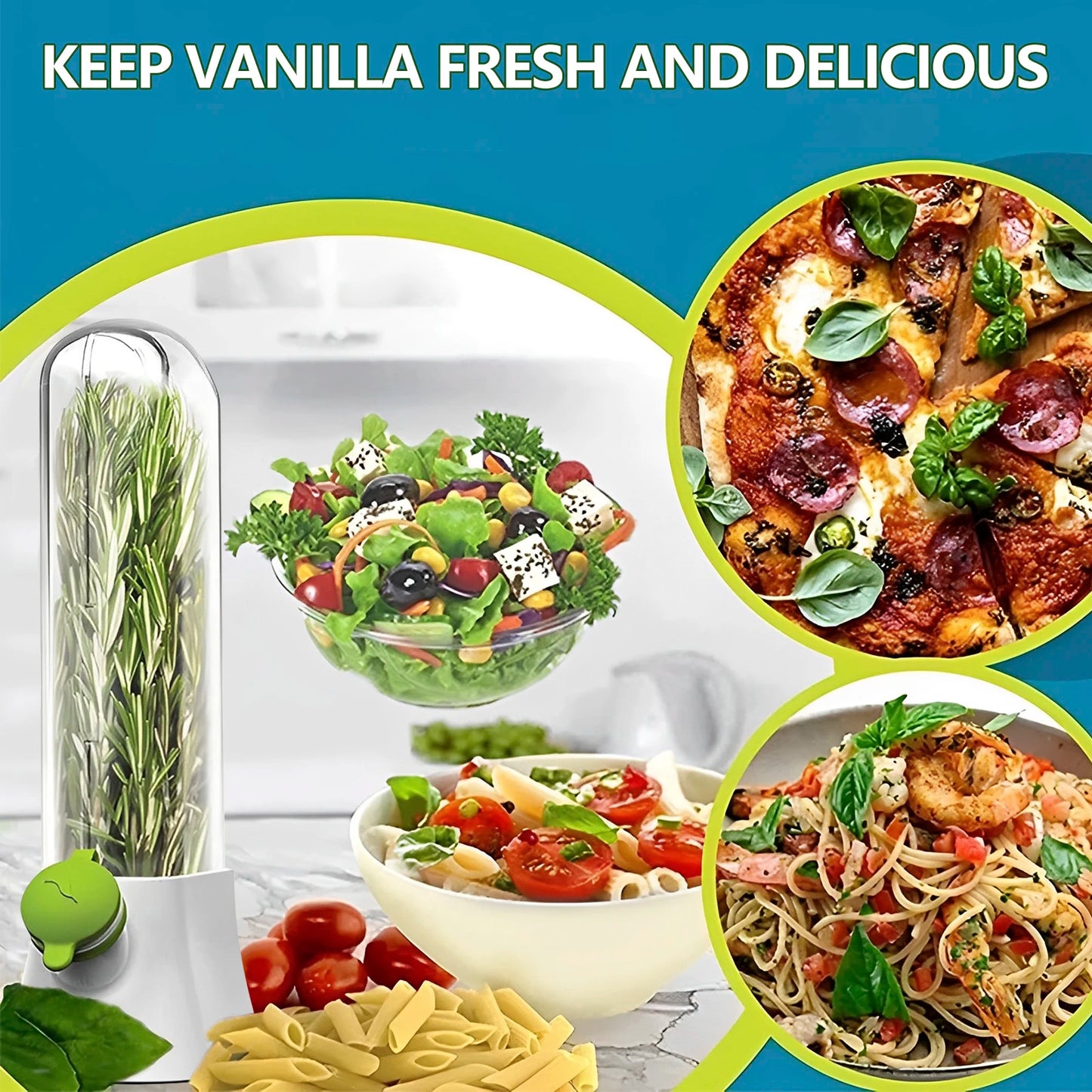 Tejesa 4/1PC Herb Freshkeeping Box Fresh Vegetable Storage Container Cup Home Decor Kitchen Gadget Device for Fridge Herb Keeper Bottle