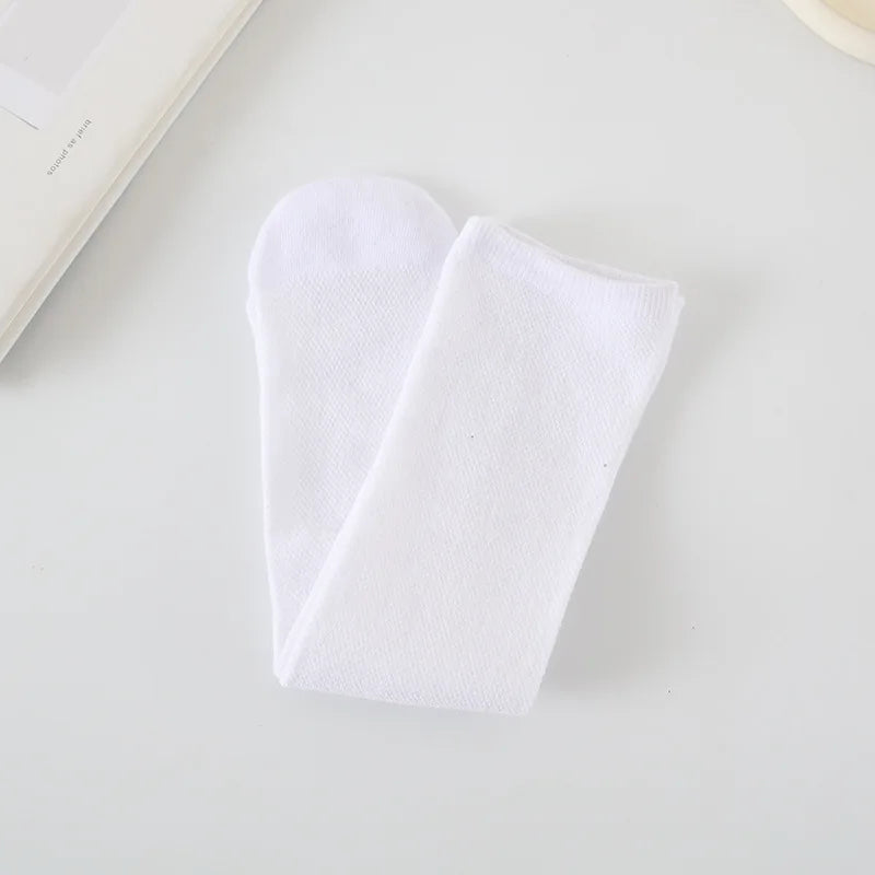 48776964473164|48776964735308