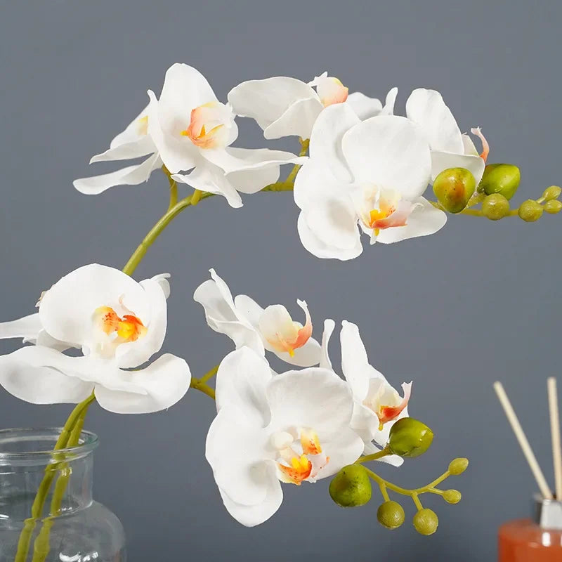 Tejesa 3 Pcs Artificial  Plastic Orchids Plastic Phalaenopsis  Artificial Flowers