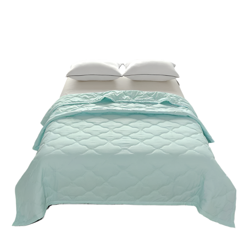 Hemasa Quilted summer single double bed light Printed quilt core Air conditioning quilting twin queen size duvet Thin plaid comforter