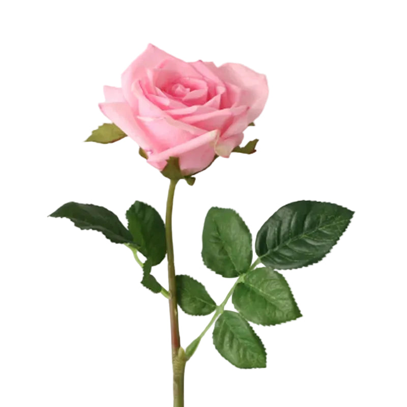 Tejesa Real Touch Artificial Rose Flowers  for Home Decor /White Pink Fake Latex Roses Flower Wedding Party Decoration Valentine's Gift
