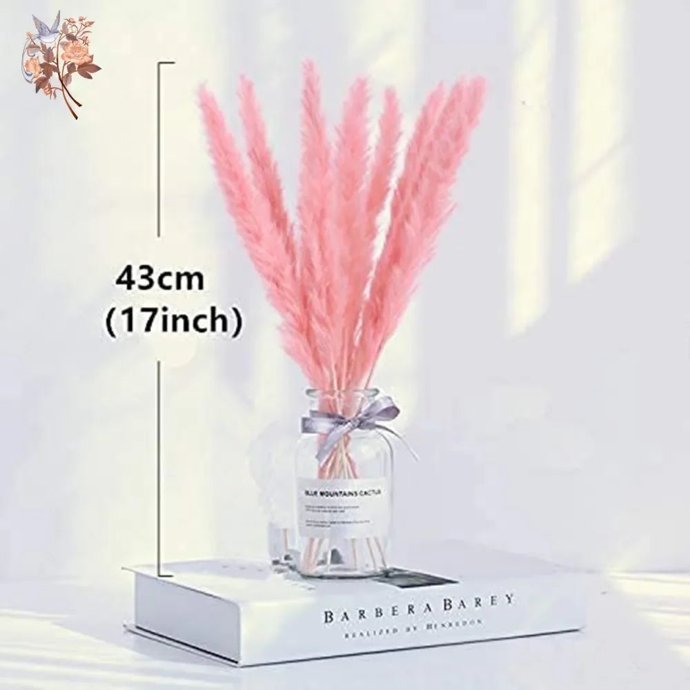 Natural Pink Pampas Grass Dried Flowers Fluffy Bulrush Home Boho Vase Decor Phragmites Reeds Wedding Christmas New Year DIY Gift