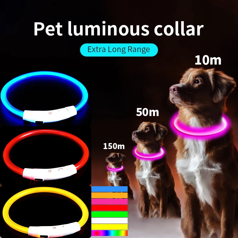 PVC LED Fiber Optic Dog Collar, USB Rechargeable Night Safety Light, Multi-Color, Available Pet Collar, 40 cm, 50 cm, 70cm, 1Pc