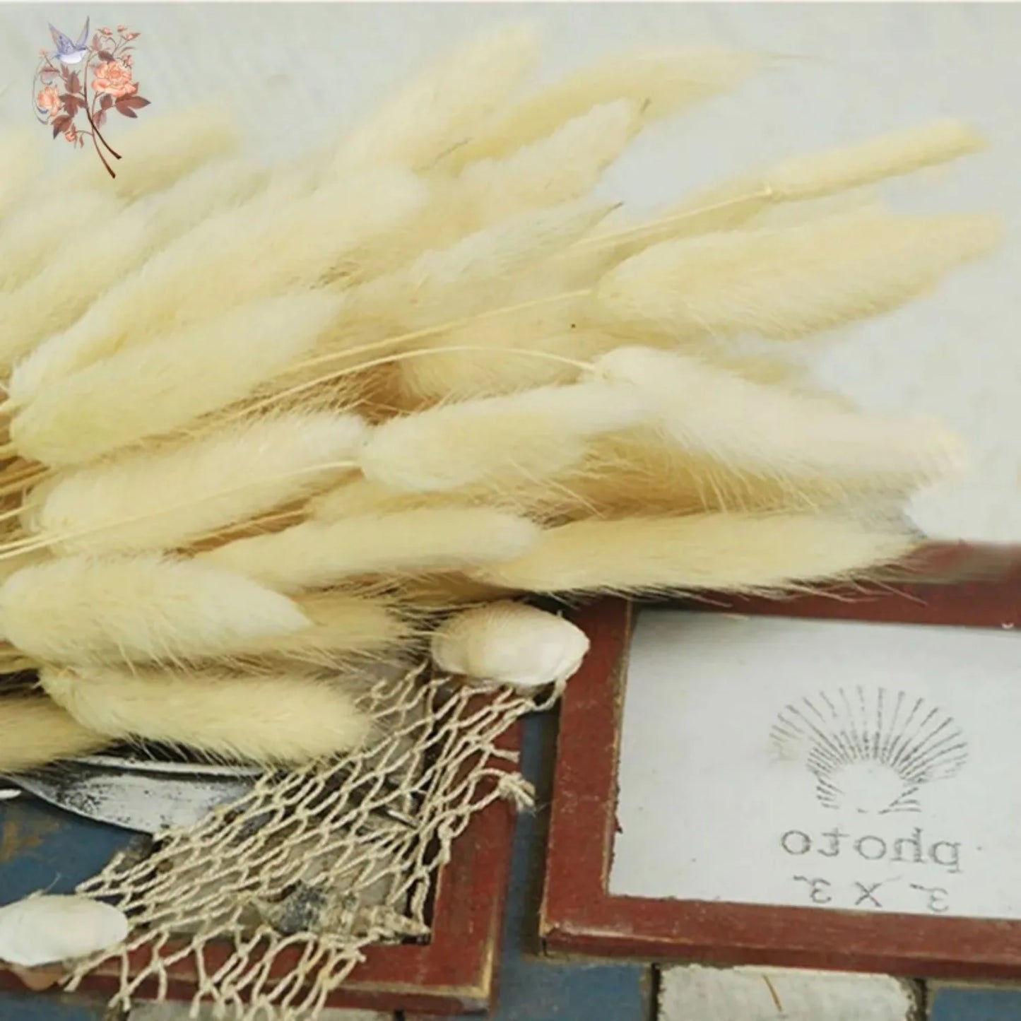 Hemasa 20/50Pcs Natural Rabbit Tail Grass Colorful Dried Flowers Bouquets Bunny Tails Lagurus Ovatus Photo Prop Home Wedding Decoration