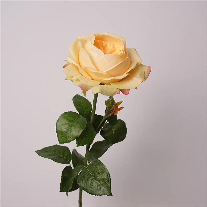 5Pc Moisturizing Austin Rose Real Touch Artificial Flowers Luxury Home Decoration Party Event Wedding Bouquet Fake Flowers Roses