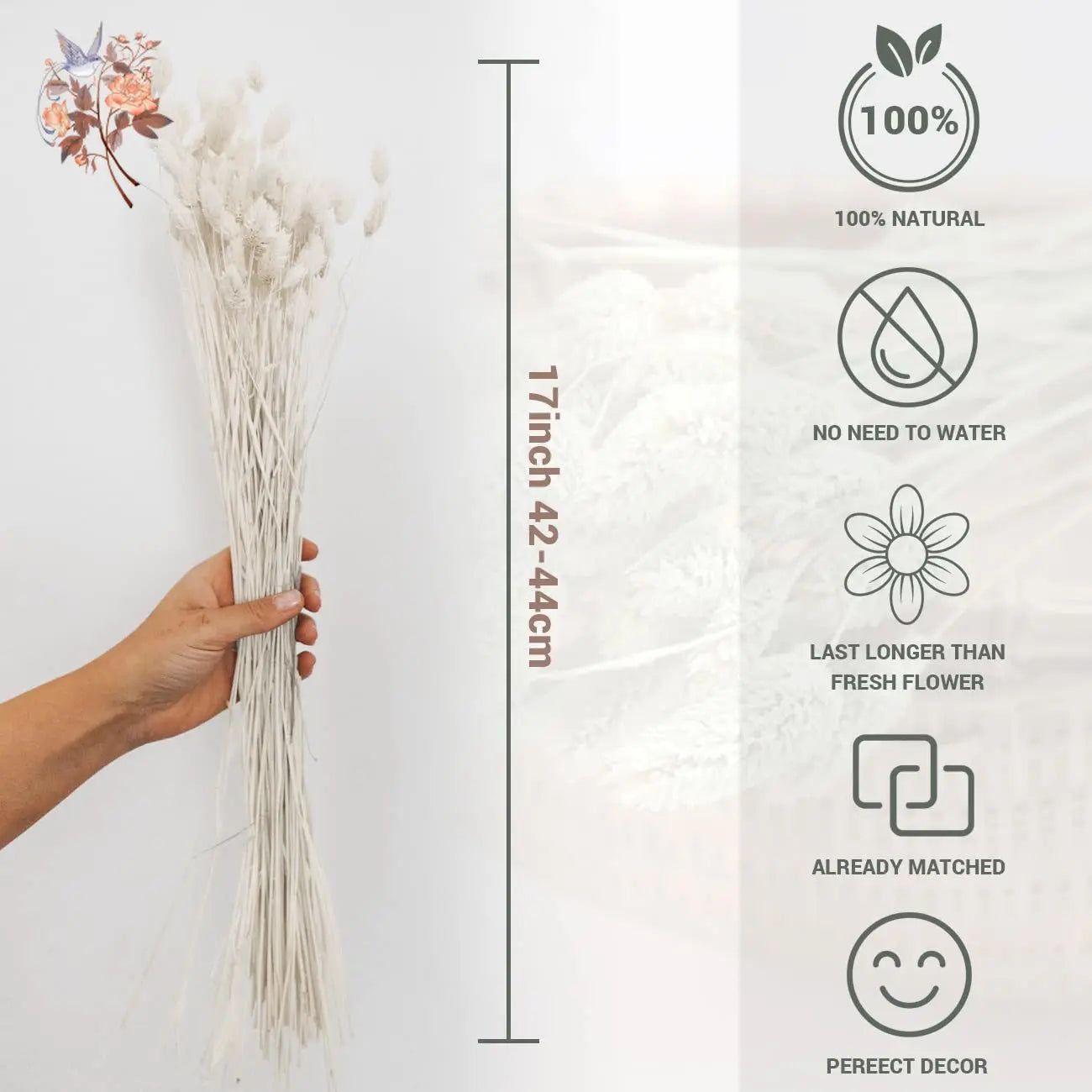 Natural Dried Gem Grass Bouquet Wedding Decoration Real Dry Plant Jewelry Grass Phalaris Preserved Flower Home Living Room Decor