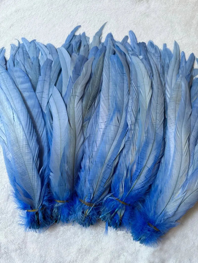 Tejesa  100pcs 30-35CM Rooster Tail Feathers Sky Blue Natural  Plumes Beige DIY Cock Clothing Jewelry Accessories Party