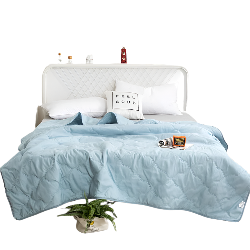 Hemasa  Silk  Thin Quilt Summer Blanket  Single/Queen/King
