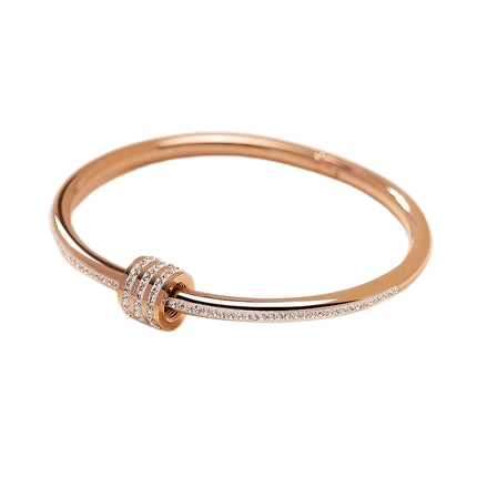 Hemasa  Classic Stainless Steel Zircon Bangle For Women /Circular Screw Bracelet
