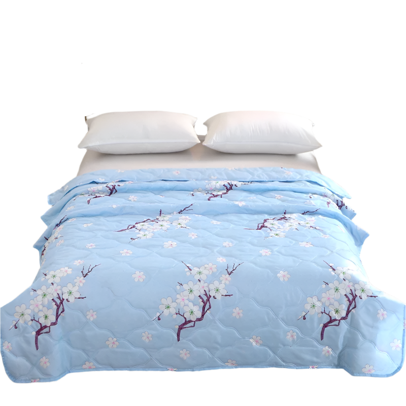 Hemasa Quilted summer single double bed light Printed quilt core Air conditioning quilting twin queen size duvet Thin plaid comforter