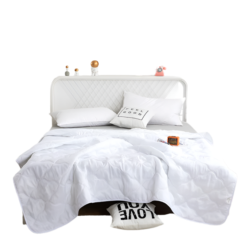 Hemasa  Silk  Thin Quilt Summer Blanket  Single/Queen/King
