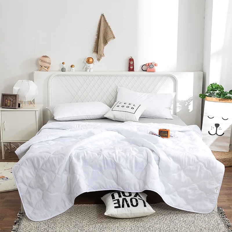 Hemasa  Silk  Thin Quilt Summer Blanket  Single/Queen/King