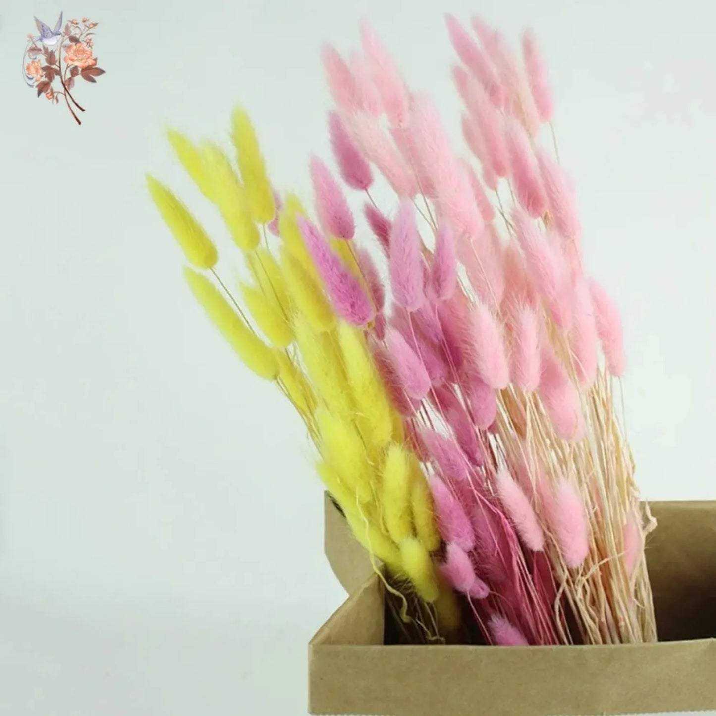 Hemasa 20/50Pcs Natural Rabbit Tail Grass Colorful Dried Flowers Bouquets Bunny Tails Lagurus Ovatus Photo Prop Home Wedding Decoration